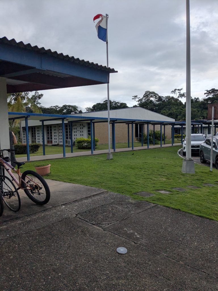 W1hatsapp image 2025 10 31 at 07.32.33